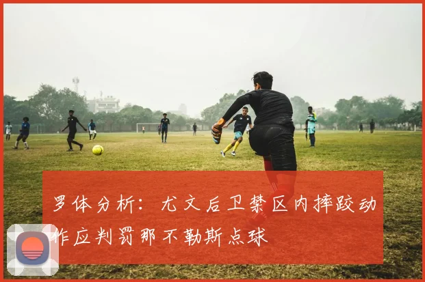 罗体分析：尤文后卫禁区内摔跤动作应判罚那不勒斯点球