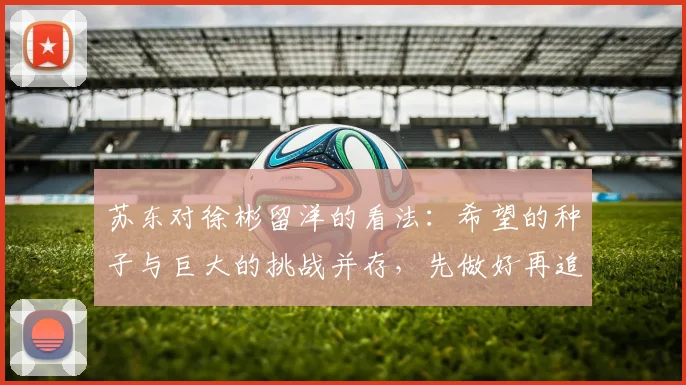 苏东对徐彬留洋的看法：希望的种子与巨大的挑战并存，先做好再追求完美