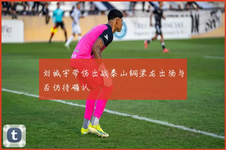 刘诚宇带伤出战泰山铜梁龙出场与否仍待确认